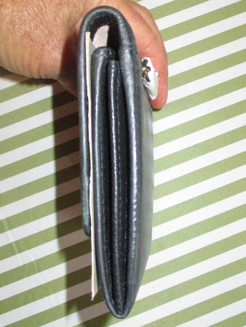 Anuschka Wristlet - Picture 3 of 11